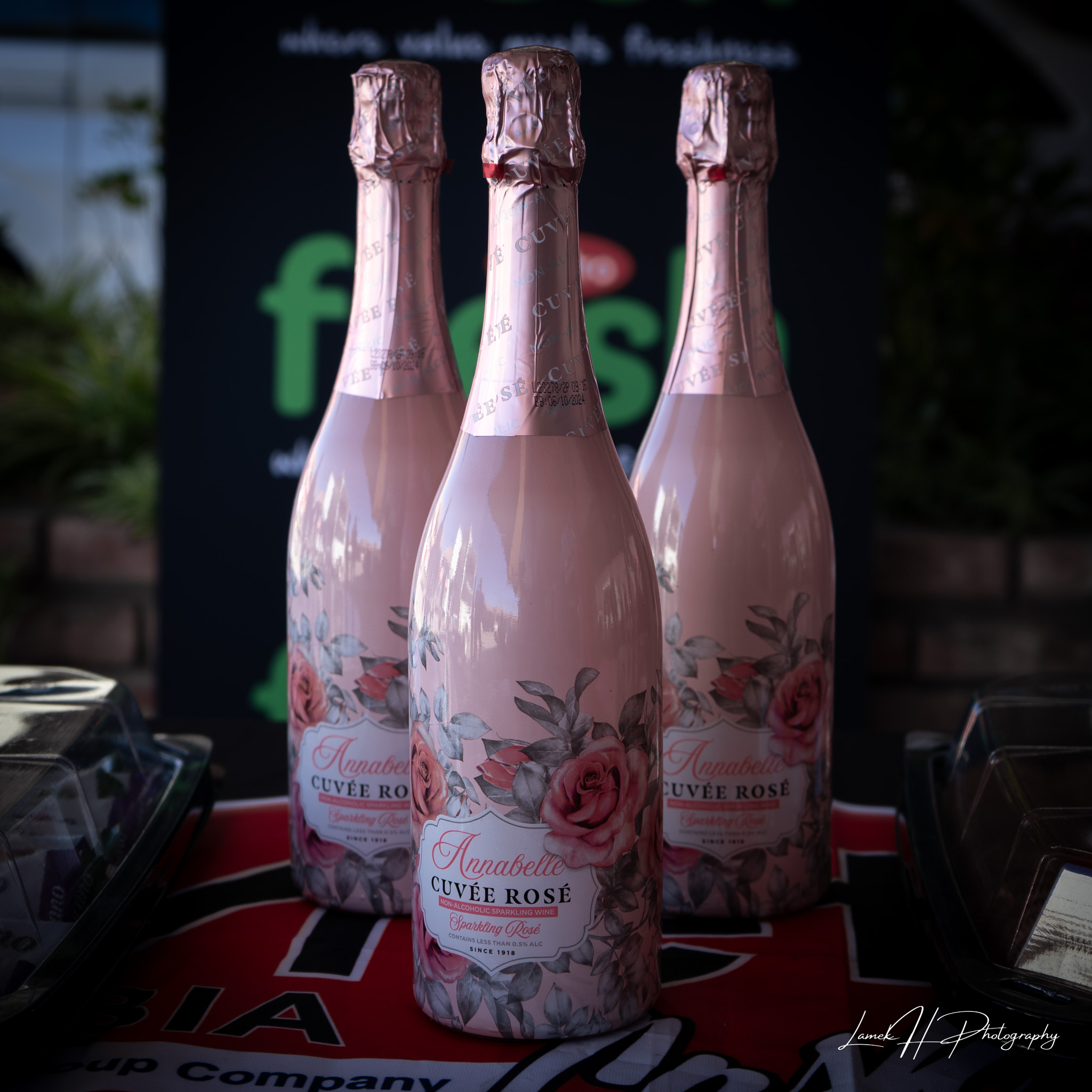 Guests networking at a business conference in Windhoek