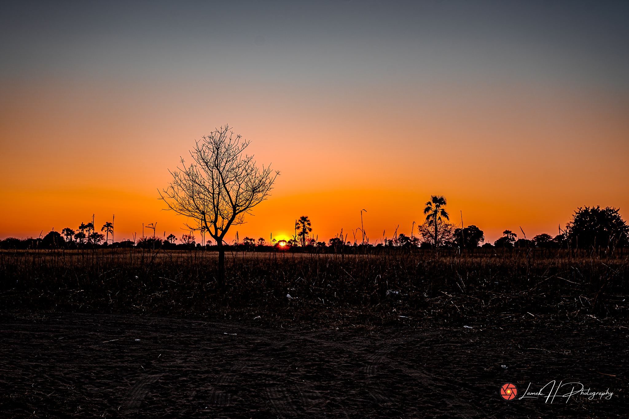 Misty morning over a peaceful lake surrounded by trees