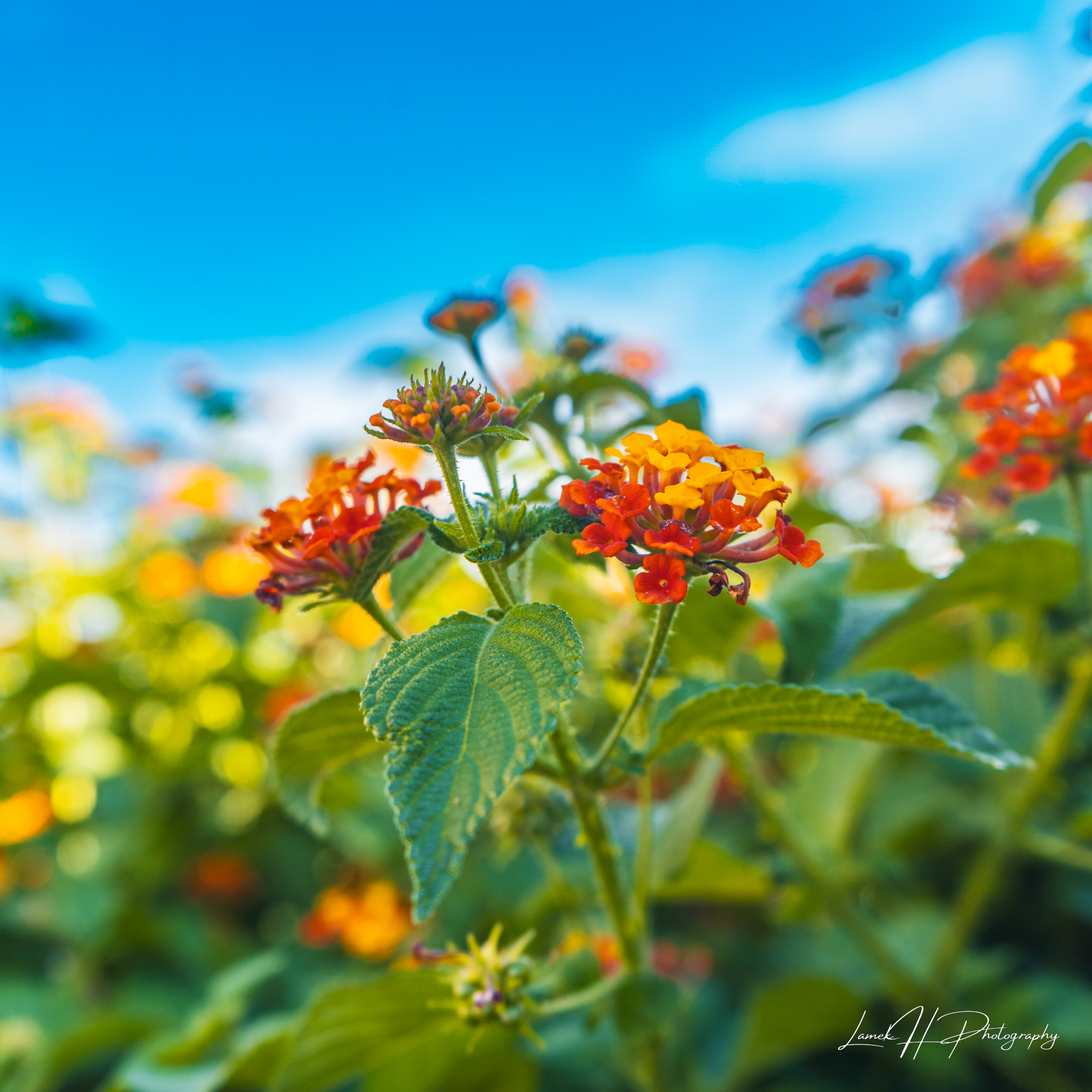 Remote African river flowing between cliffs with scenic reflections