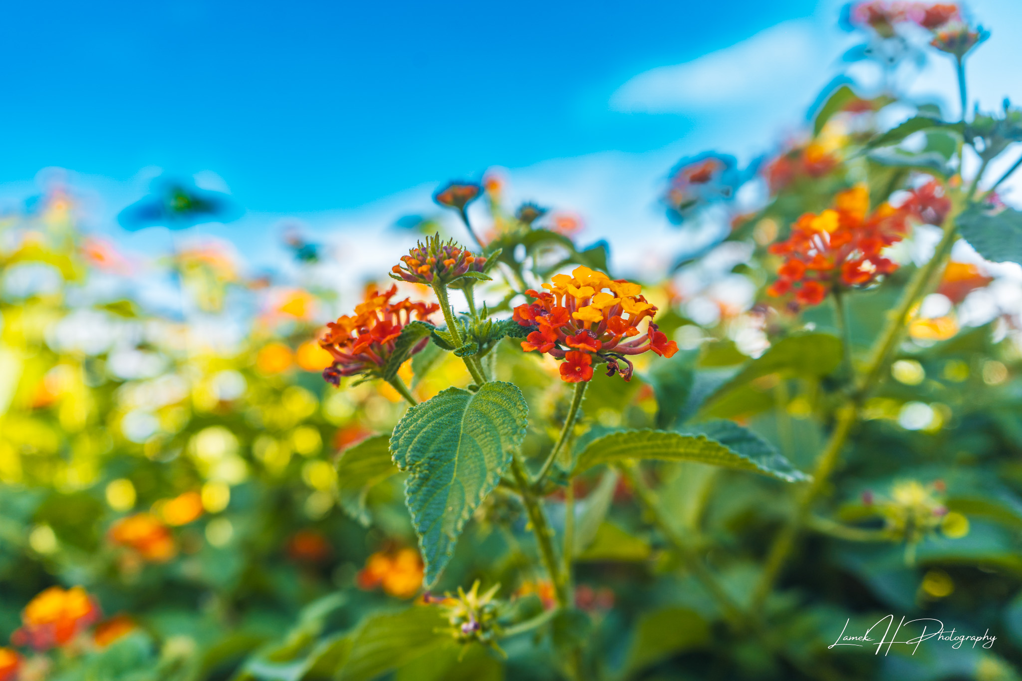 Aerial drone shot capturing breathtaking Namibian landscape